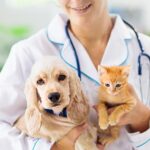 The Complete Guide to Pet Care: Nurturing Your Furry Friends