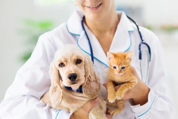 The Complete Guide to Pet Care: Nurturing Your Furry Friends