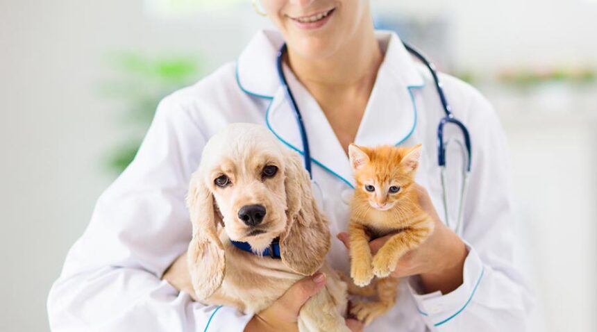 The Complete Guide to Pet Care: Nurturing Your Furry Friends
