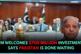 pm-welcomes-dollar700-million-investment