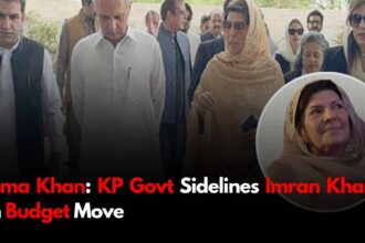 Aleema Khan: KP Govt Sidelines Imran Khan with Budget Move