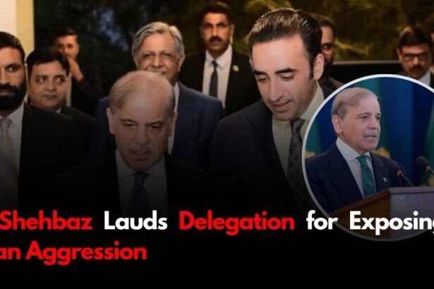 PM Shehbaz Lauds Delegation for Exposing Indian Aggression