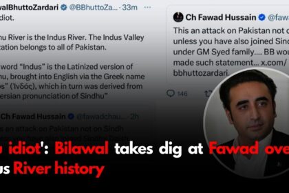 'You idiot': Bilawal takes dig at Fawad over Indus River history