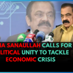 Rana Sanaullah Calls for Political Unity to Tackle Economic Crisis