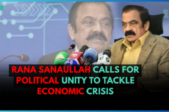 Rana Sanaullah Calls for Political Unity to Tackle Economic Crisis