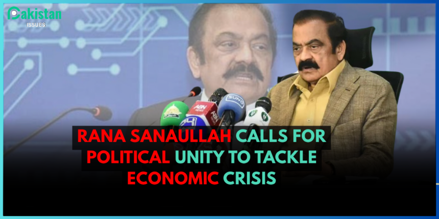 Rana Sanaullah Calls for Political Unity to Tackle Economic Crisis