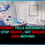 Shehbaz Tells Authorities: Stop Delays, Get Bhasha Dam Moving