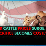Eid Cattle Prices Surge, Sacrifice Becomes Costly