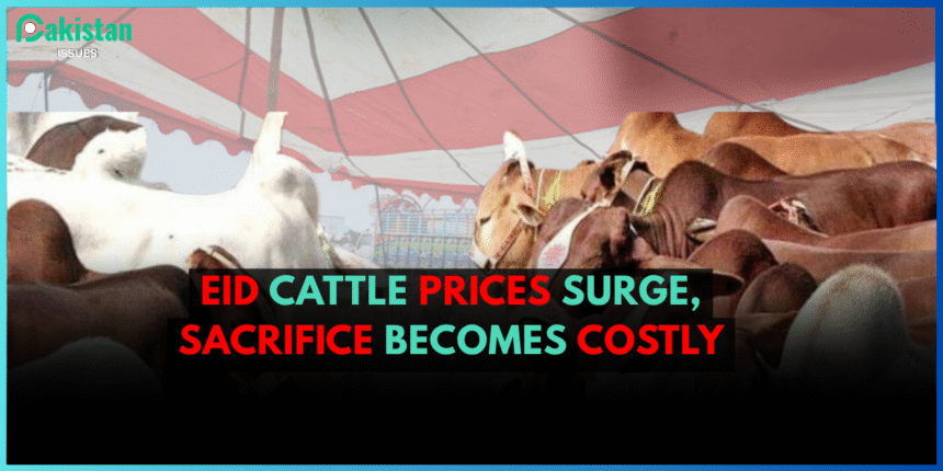 Eid Cattle Prices Surge, Sacrifice Becomes Costly