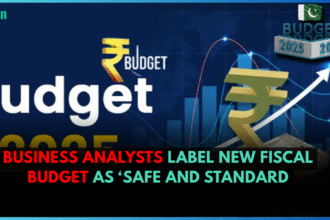 Business Analysts Label New Fiscal Budget as ‘Safe and Standard,